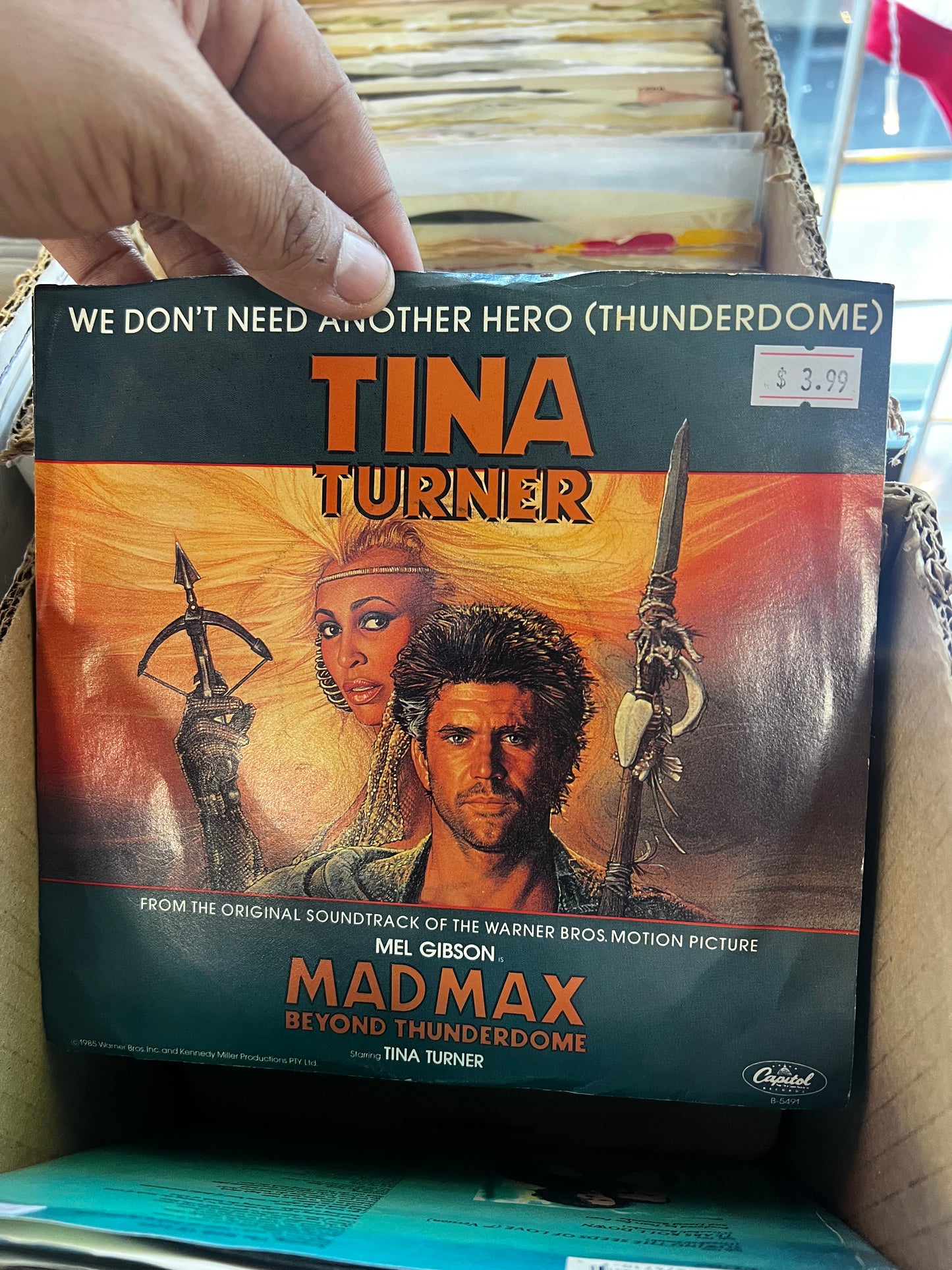 Tina Turner ‎– We Don't Need Another Hero (Thunderdome) 7”